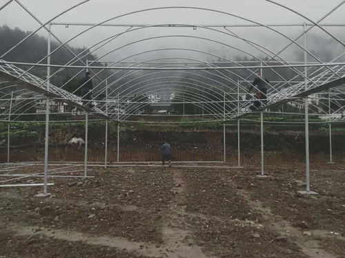 貴州銅仁18000平米薄膜連棟溫室大棚項目建成，助力現代農業發展