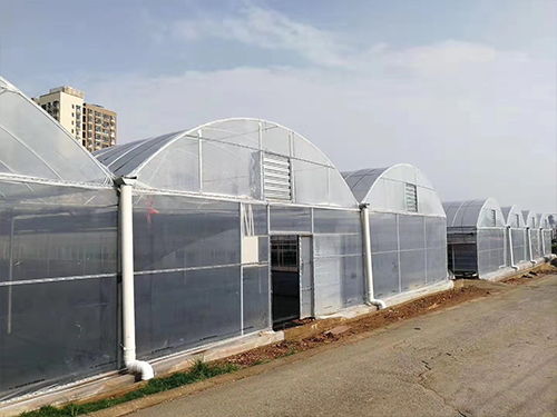 夢洋溫室薄膜 專業訂制，助力花卉溫室高產高效