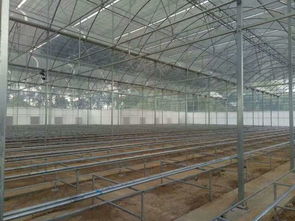 雙層充氣薄膜溫室大棚 技術特點與工作原理詳解