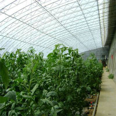 鋼結(jié)構(gòu)薄膜大棚工程造價解析及優(yōu)質(zhì)供應(yīng)商推薦——以七洲種植花卉為例