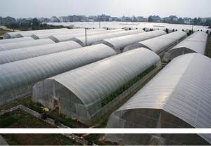 塑料薄膜在現(xiàn)代農(nóng)業(yè)與生活中的多功能應用