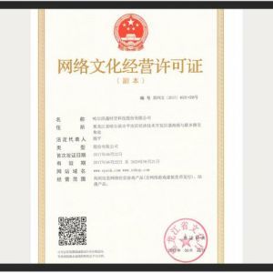 網絡文化經營許可證 定義、申請流程與行業意義